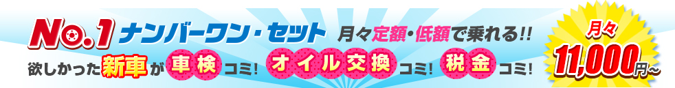 ナンバーワンセット