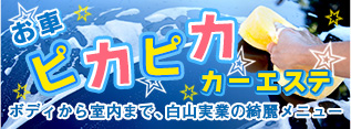 ぴかぴかカーエステ