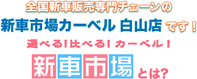 新車市場白山店